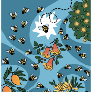 Compilation of Lilavati Competition Puzzles 2024